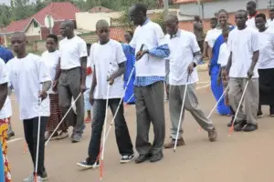 Abafite Ubumuga bwo Kutabona bongeye gusaba ko Inkoni Yera Iboneka Byoroshye nk’uko indi Miti Yose iboneka.