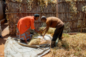 🇷🇼KAYONZA: GALS Training Reveals Family Conflicts As A Hidden Barrier To Agricultural Development 🇷🇼🌱