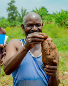 🇷🇼KIIWP-2 Transforms 253 Farmers in Mwiri: From 1.8 to 4.5 Tons Per Hectare and Hunger to Food Security